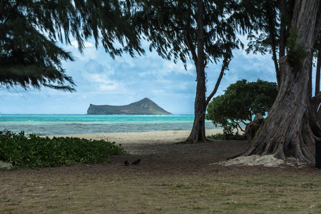 瓦曼纳洛海滩瓦胡夏威夷兔子岛景