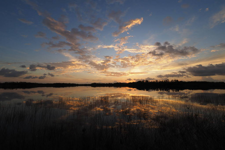 佛罗里达州大沼泽地国家公园九里池上空的日出