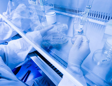 无菌环境下微量采样的实验室助理照片