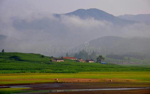 松花江风光图片