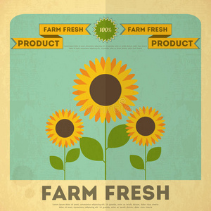 有机农家食品海报图片