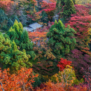 京都清水正孝寺的景色图片