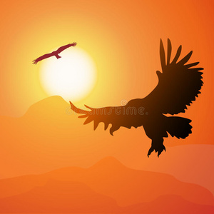 翱翔的鹰和日落的方形卡通插图。