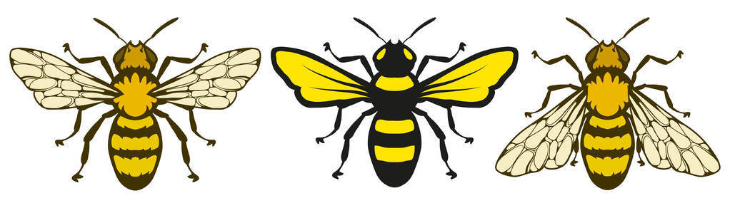 矢量图的蜜蜂图片