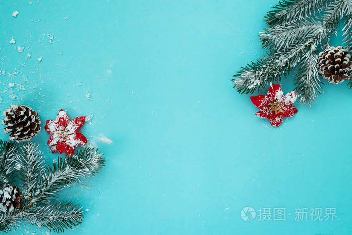 圣诞节和新年假期背景与雪冷杉树和松果在蓝色背景, 冬天季节。圣诞贺卡, 复印空间