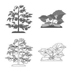 温室和植物符号的向量例证。一套温室和花园股票符号的网站