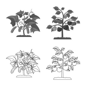 温室和植物图标的向量例证。收集温室和花园矢量图标的股票