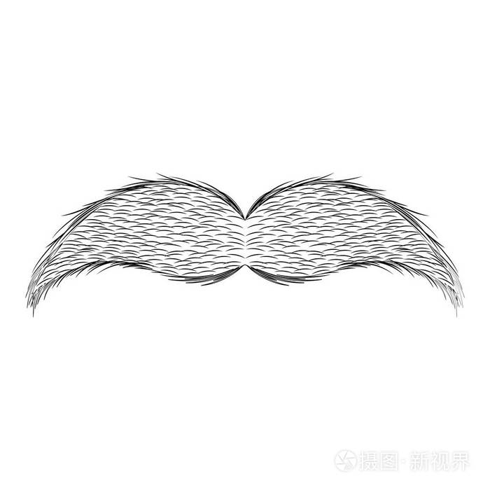 孤立的胡子素描