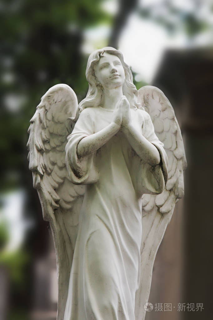以树叶为背景的墓地上悲伤天使的老式形象(详情)