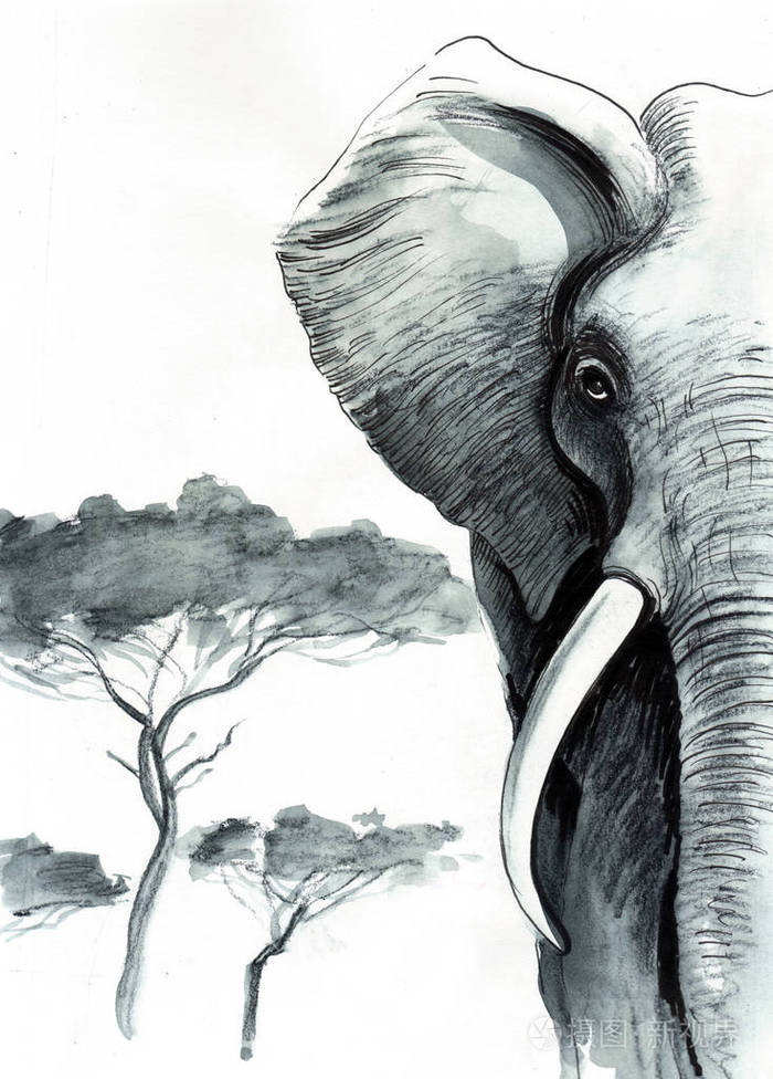 墨水和水彩插图