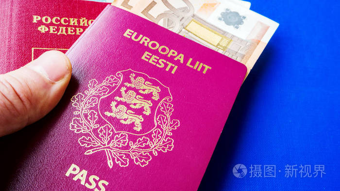 爱沙尼亚和俄罗斯的双重国籍