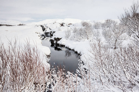 国家公园或更著名的冰岛平维尔国家公园在冬季
