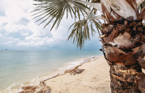 美丽的热带景观棕榈树在绿松石的背景下，蓝天与云彩，旅游和旅游的背景和纹理。