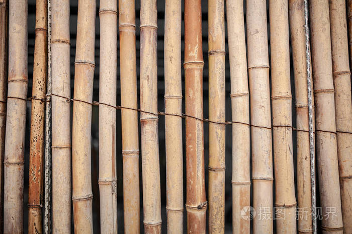干竹墙绑与绳子纹理背景, 竹栅栏背景, 竹棒图案