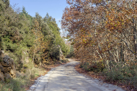 在秋天阳光明媚的日子里，山里的一条狭窄的乡村道路希腊佩罗奔尼撒。