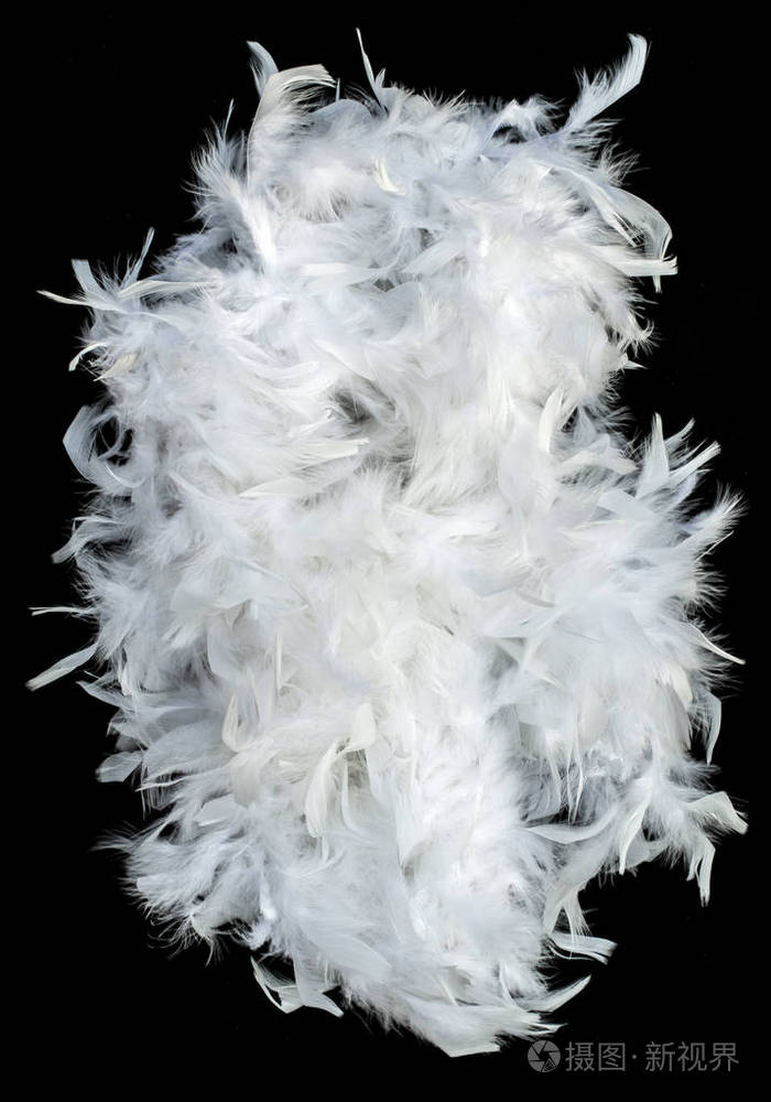 绒毛孤立在黑色上