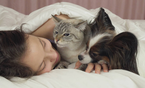 美丽的少女睡在床上与狗和猫