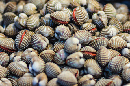 最新推出的生海蛤蜊在海鲜市场上出售,用于烹饪蒸白蛤蜊,这是非常美味