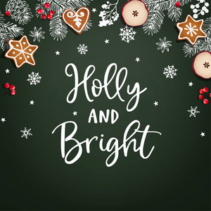 霍莉和光明的圣诞贺卡, 邀请。装饰框架, 横幅。手绘的粉笔冷杉树枝, 雪花, 浆果, 苹果和姜饼饼干。绿色背景。向量例证