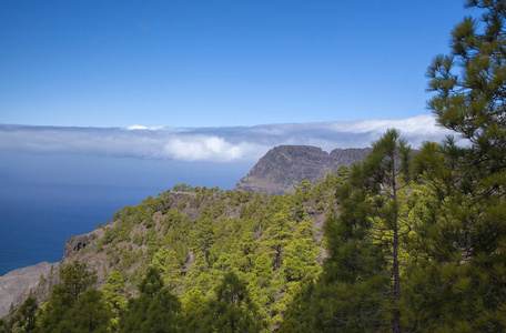 格拉加纳里亚，自然公园松林塔马达巴，朝法内克，欧洲最高的海上悬崖，小彩虹
