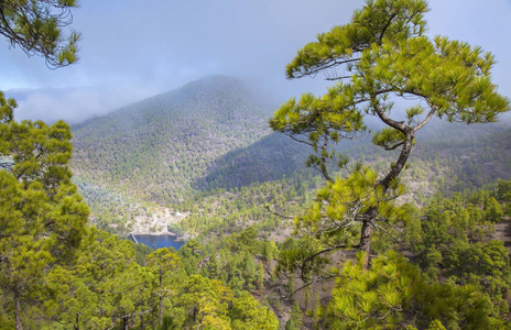 加那利安自然公园松林塔玛达巴俯瞰巴兰科德尔瓦基罗峡谷小彩虹悬浮雾