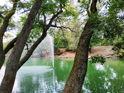 天然公园里的溪水。美丽公园里的绿色冷冻水