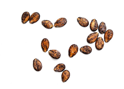 在白色背景下分离的西瓜种子照片