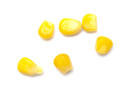 新鲜的玉米种子图片