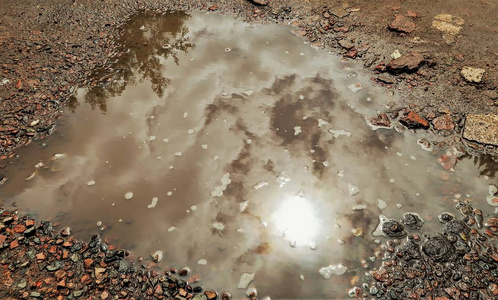 水坑反射图片