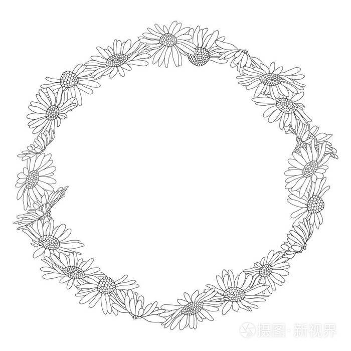 花圈白色背景上有雏菊花向量圆