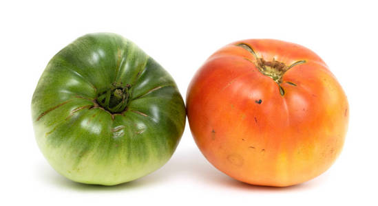 在白色背景上分离的西红柿