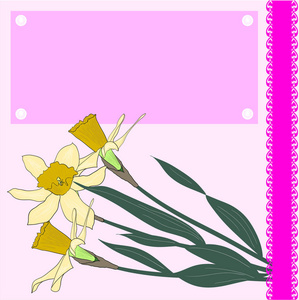 粉红色背景的图案水仙花束