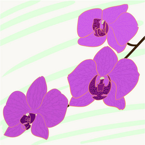 抽象明亮的紫色花背景