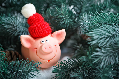 圣诞快乐, 新年快乐。玩具猪在云杉的枝条。带复制空间的背景。选择性对焦