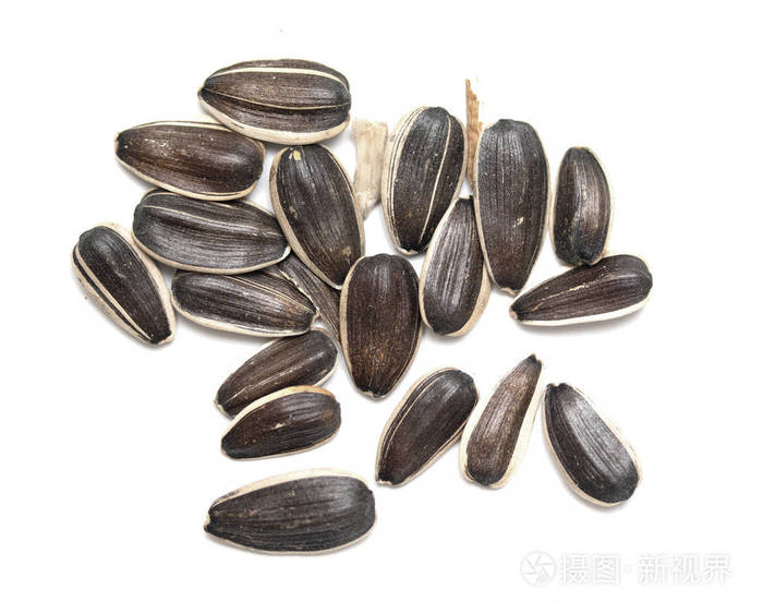 白色背景上分离的葵花籽