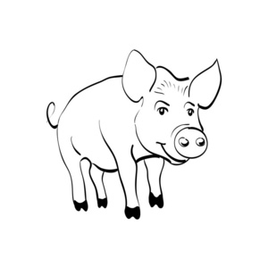 素描猪图片