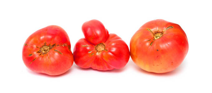 在白色背景上分离的西红柿