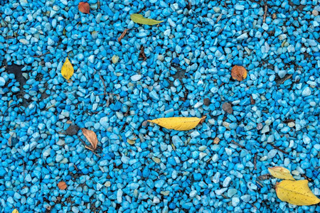 蓝色的鹅卵石和树叶