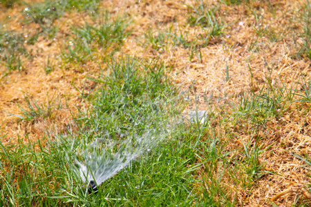 离焦灌溉系统用Bokeh背景浇灌绿草。