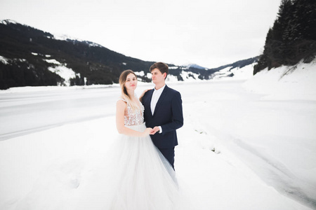 浪漫的年轻夫妇看着离开, 背面的景色, 湖泊和冬季山的背景