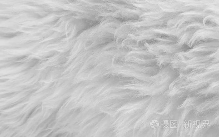 白色动物毛质地背景米色天然羊毛紧密质地毛绒绒毛