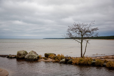 拉脱维亚的岩石海岸线，海水流动，深秋的大岩石