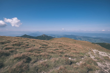 美丽的岩石山顶，秋季在斯洛伐克塔特拉西部喀尔巴阡山，蓝天和晚草在山上。 光天化日之下的空岩石远地平线冒险