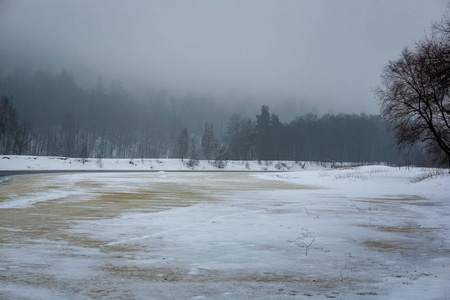 冬天的野生森林，日落前傍晚下雪