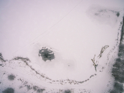 无人机图像。 雪冬期间有田野和森林的农村地区的鸟瞰图。 雪旧电影的纹理看起来