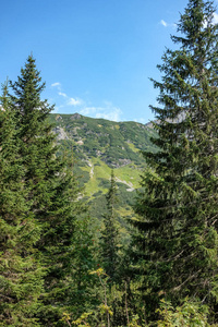 夏季绿林和山地景观