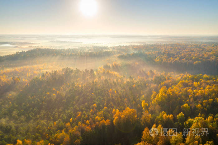 在白俄罗斯阿斯特拉维杜勒比沼泽拍摄的雾状秋晨
