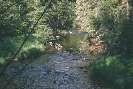 夏季绿色天气下森林深处的岩石河流，有砂岩悬崖和旧的干木树干。拉托维亚阿马塔河附近的世纪老式老电影外观