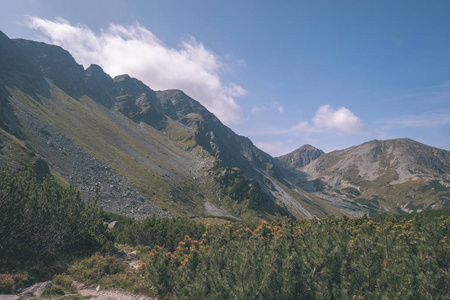 斯洛伐克西卡帕提安塔特拉山游客的岩石徒步旅行小径。为徒步旅行和冒险提供晴朗的夏日