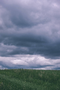 夏日绿茵草地上的风暴云图片